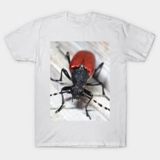 Red-shouldered Pine Borer T-Shirt